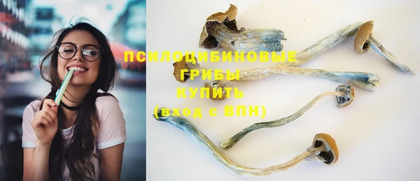 круглые Алзамай