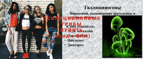 круглые Алзамай