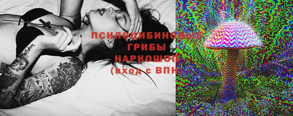 синтетический гашиш Алексин