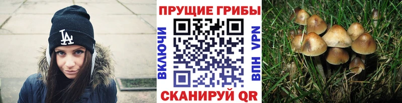 Галлюциногенные грибы ЛСД  Катав-Ивановск 
